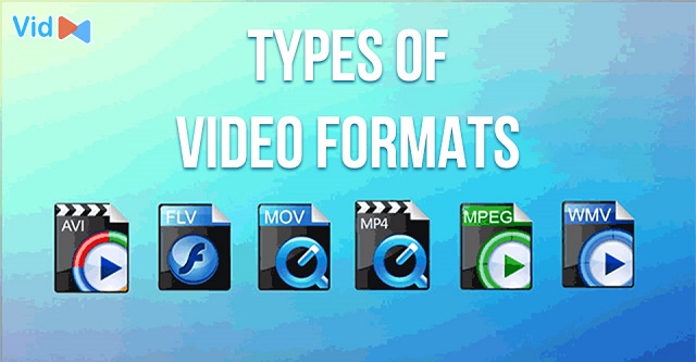 What are the different types of video formats?