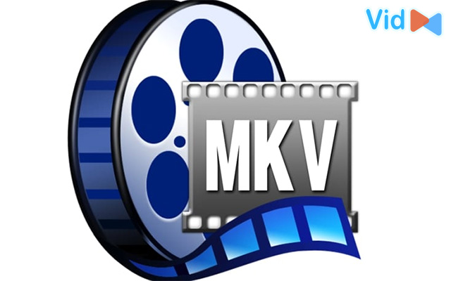 MKV vid video format