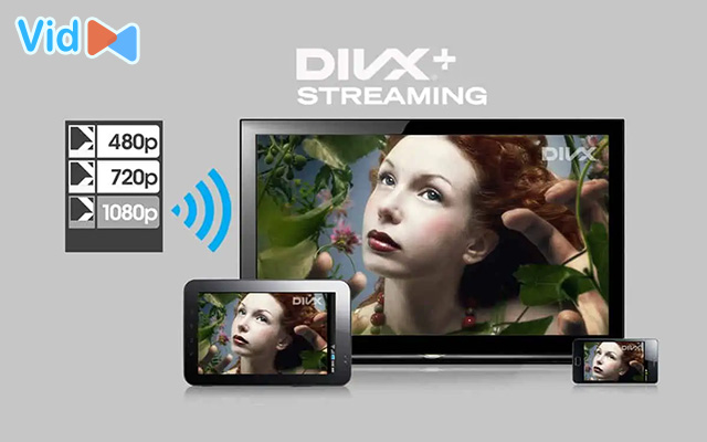 DivX Plus HD