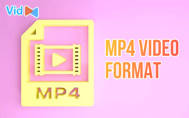 MP4 video format