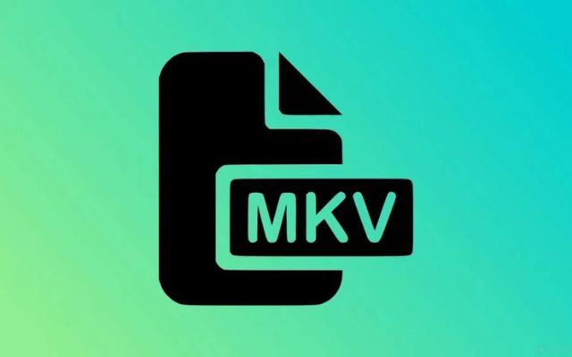  MKV video format