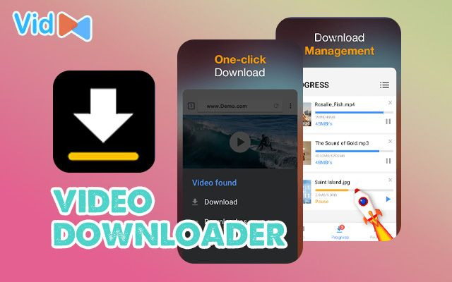  Video Downloader