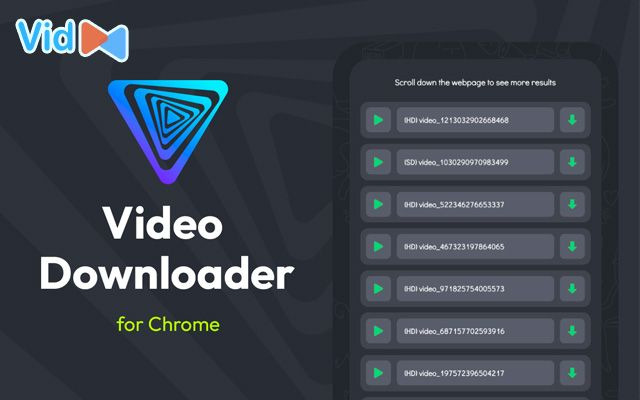  Video Downloader for Chrome