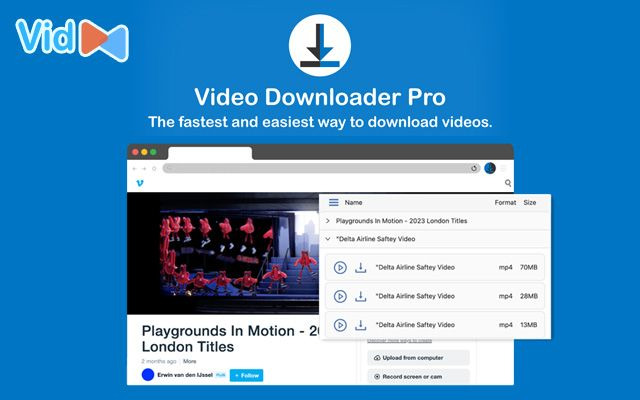  Video Downloader Professional Chrome extension