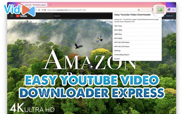  Easy YouTube Video Downloader Express