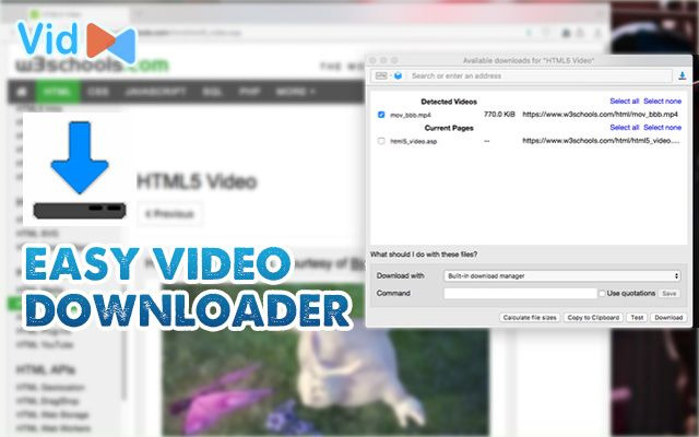  Easy Video Downloader