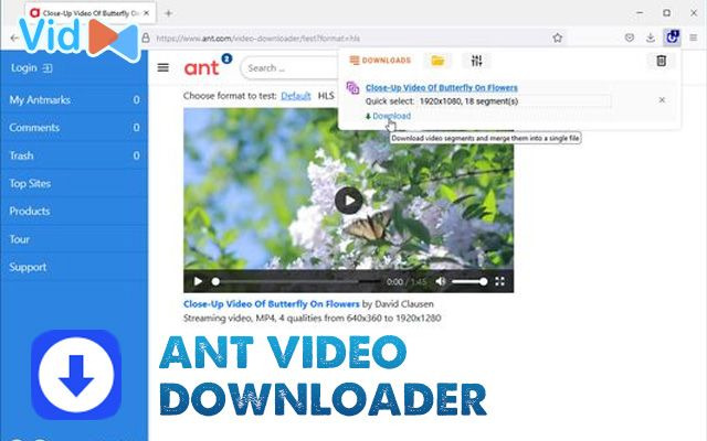  Ant Video Downloader